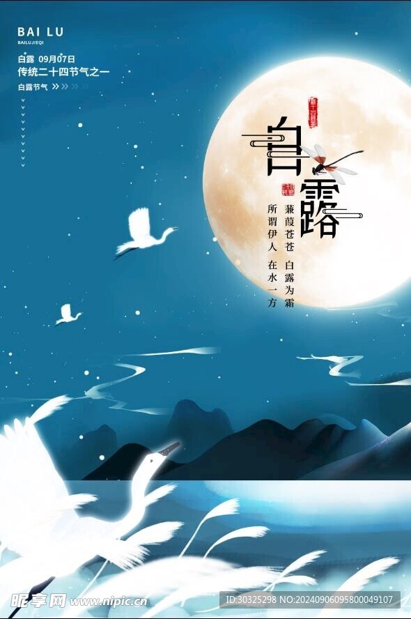 白露海報(bào)