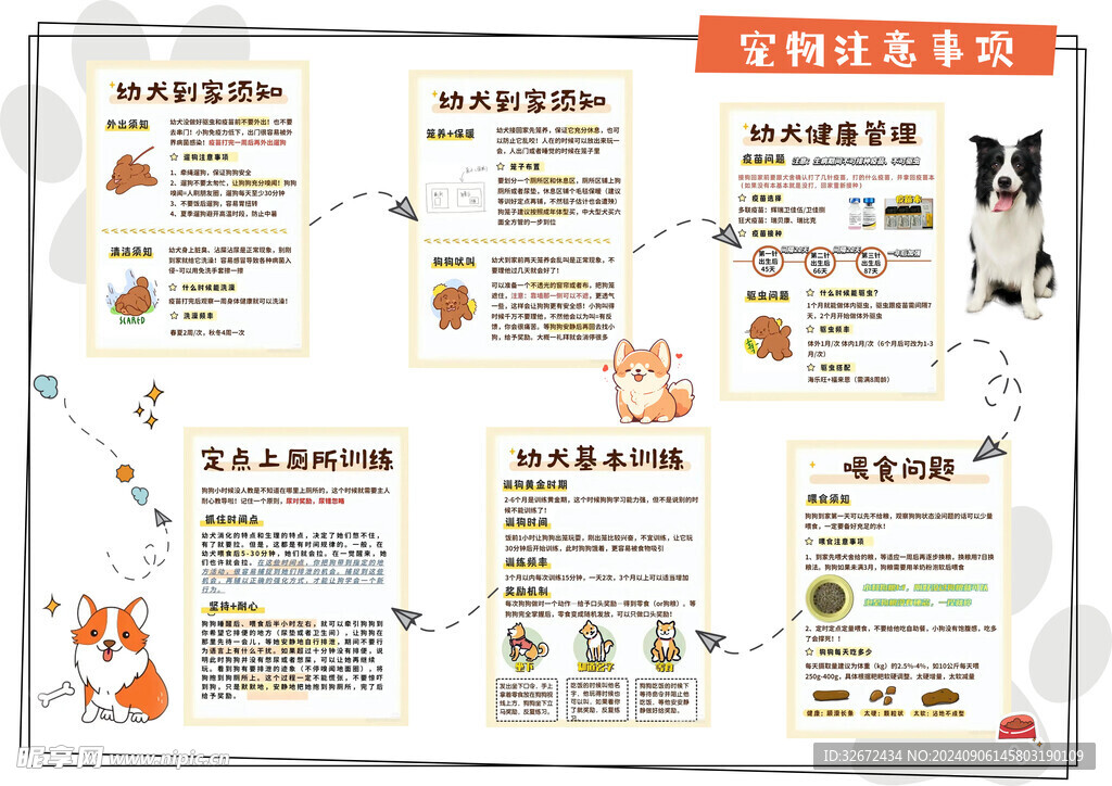 寵物注意事事項(xiàng)