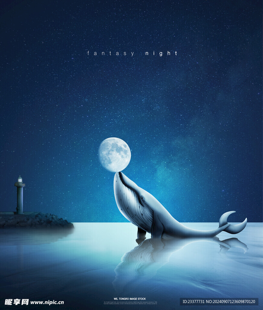 星空海豚
