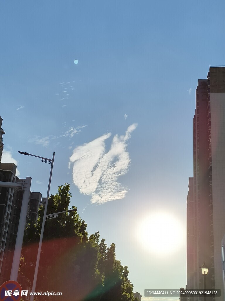 太陽光
