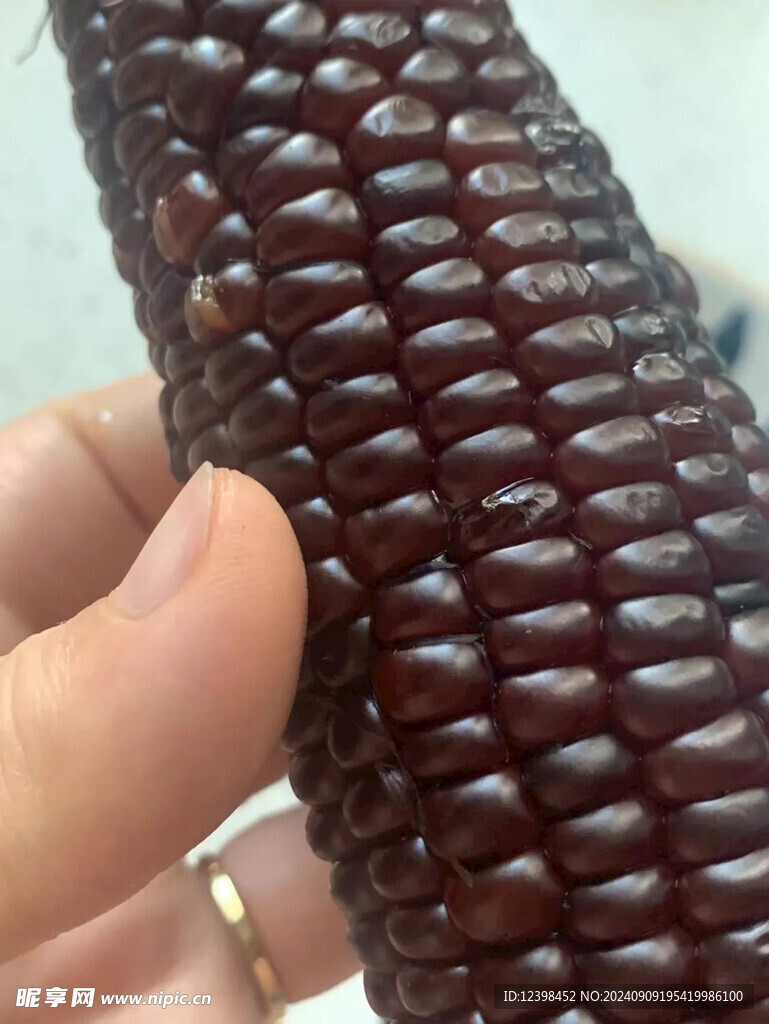 軟糯玉米