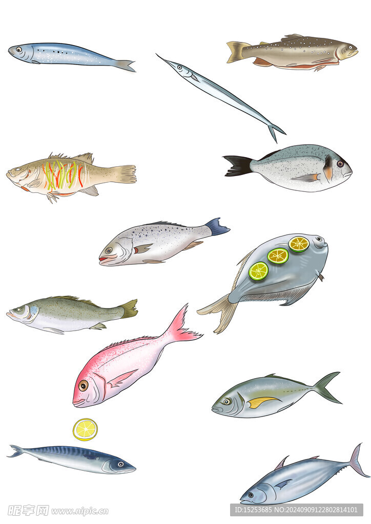 水彩魚