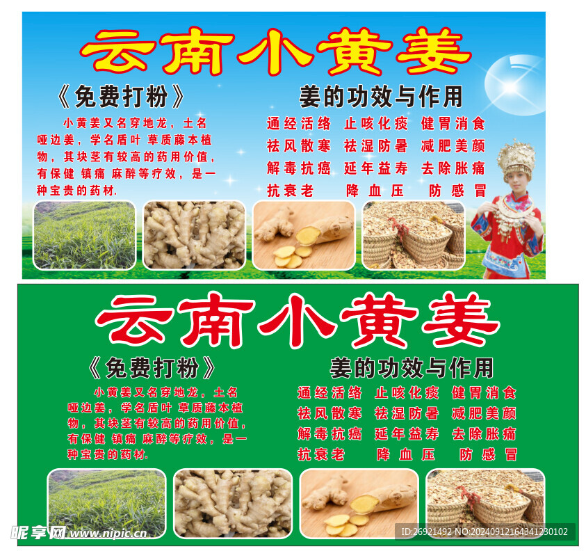 云南小黃姜