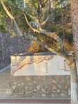 曲靖的陽光