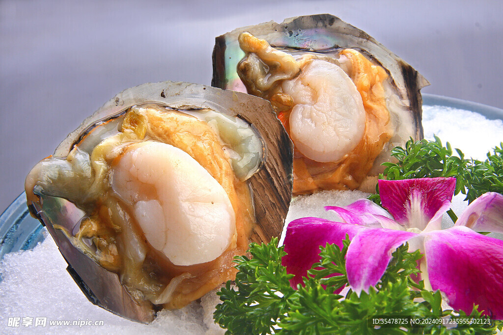 帶子