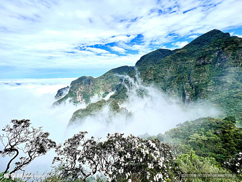 金秀圣堂山