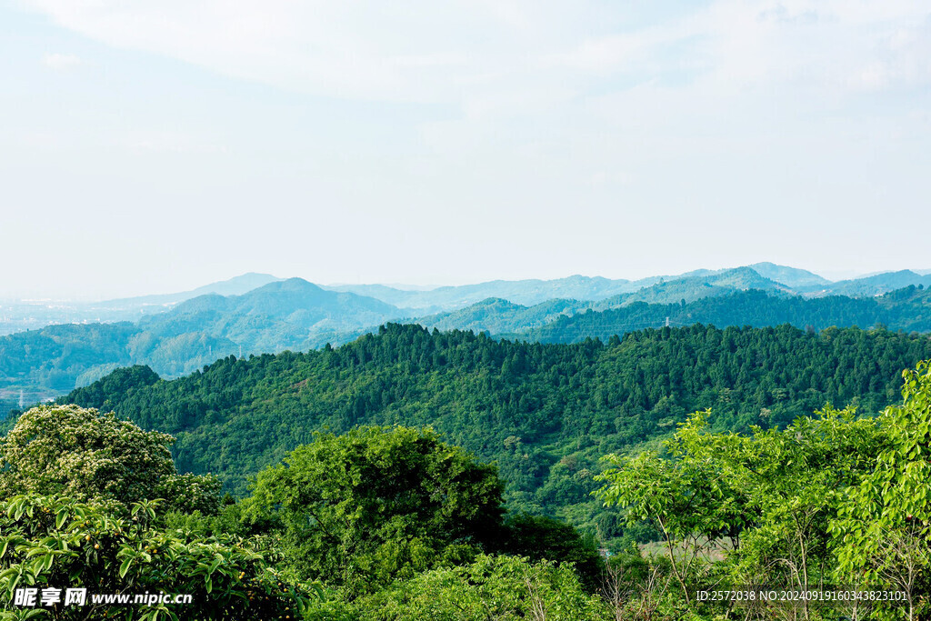 龍泉山
