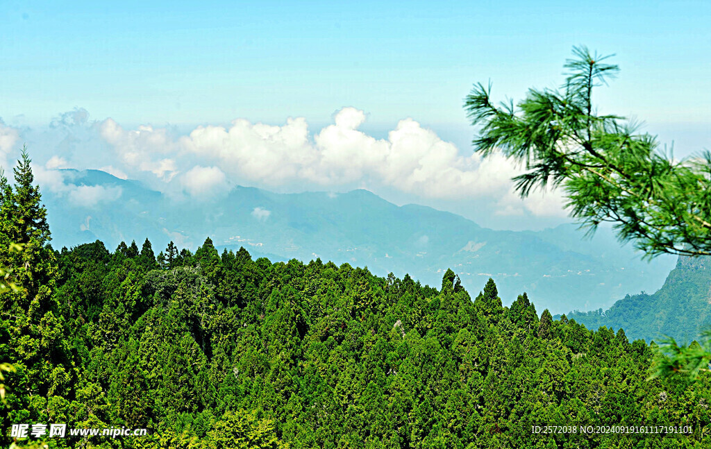 阿里山