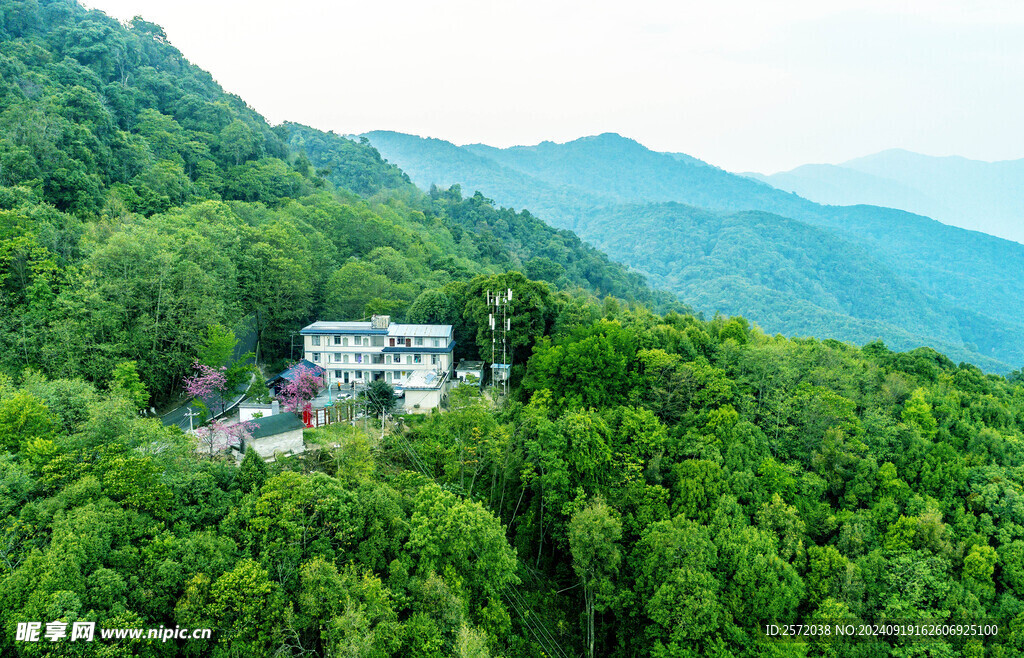 高黎貢山