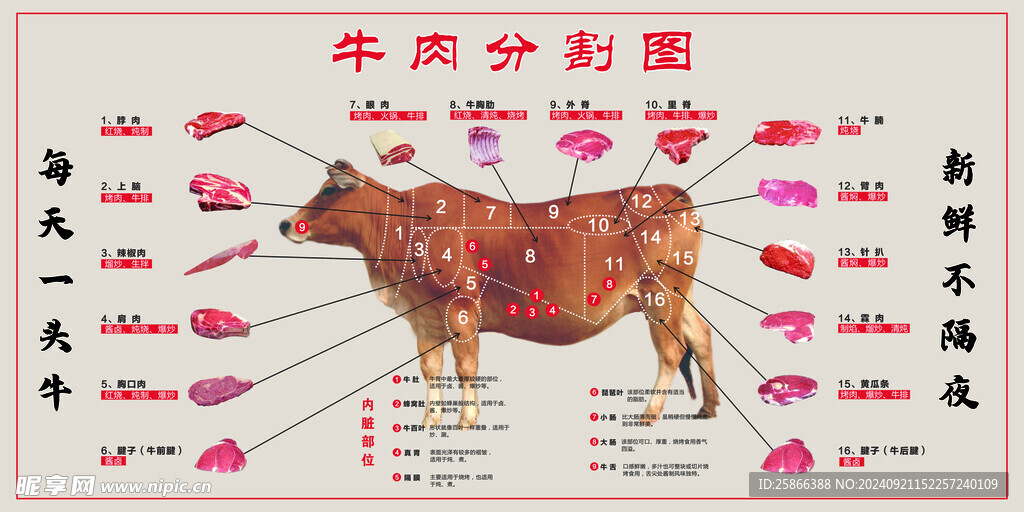 牛肉分割圖