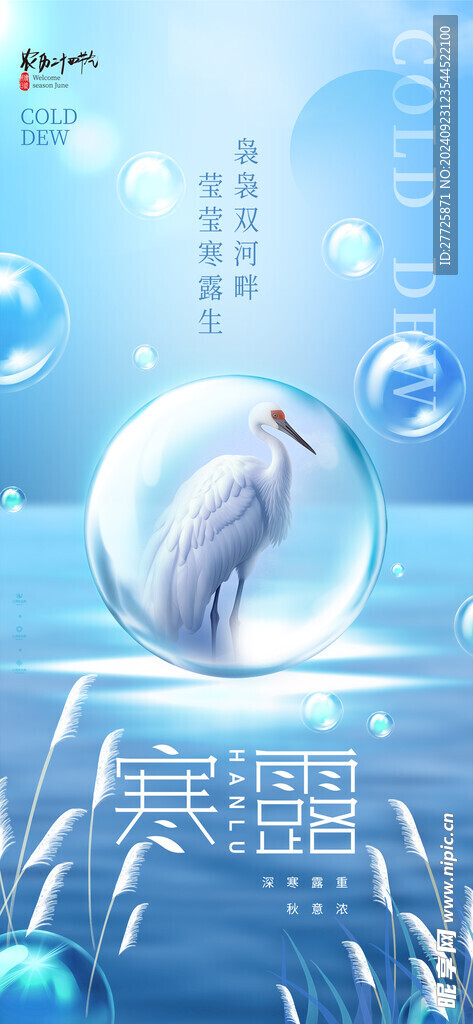 藍色時尚寒露節氣宣傳海報