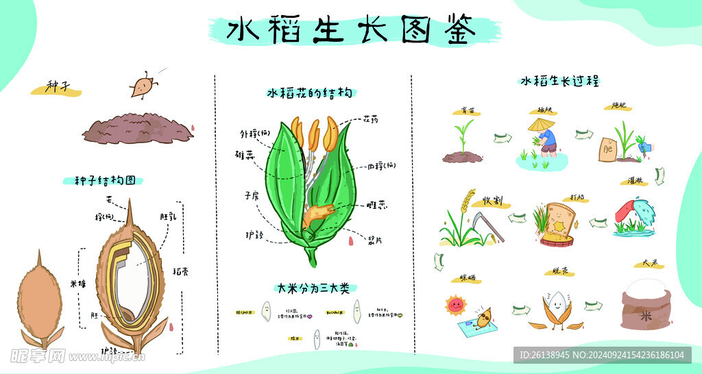 水稻生長圖鑒