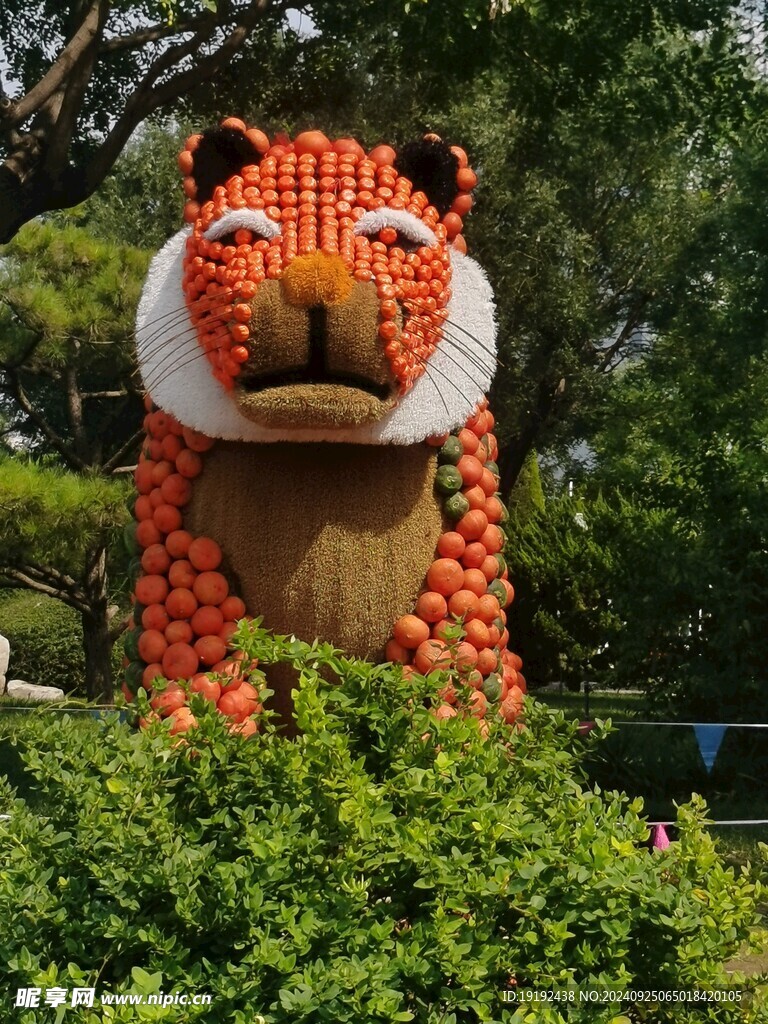 南瓜藝術節 