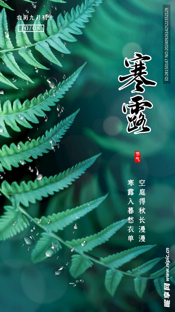 寒露圖片