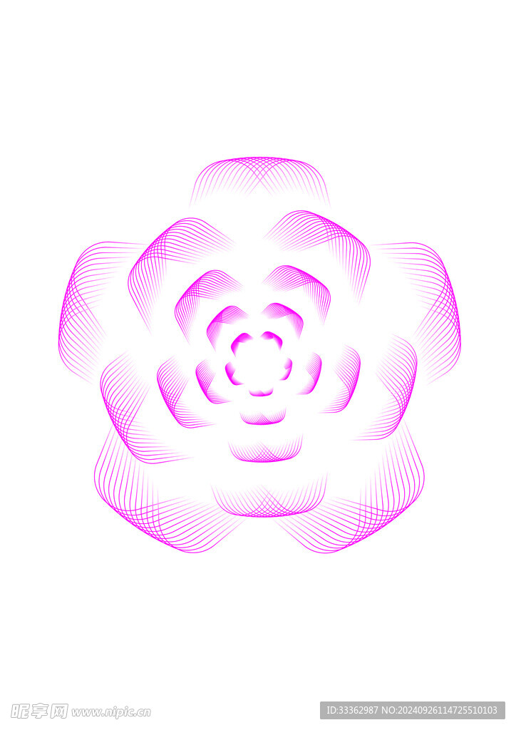玫瑰花圖案