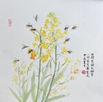 油菜花  國畫