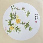 迎春花  國畫