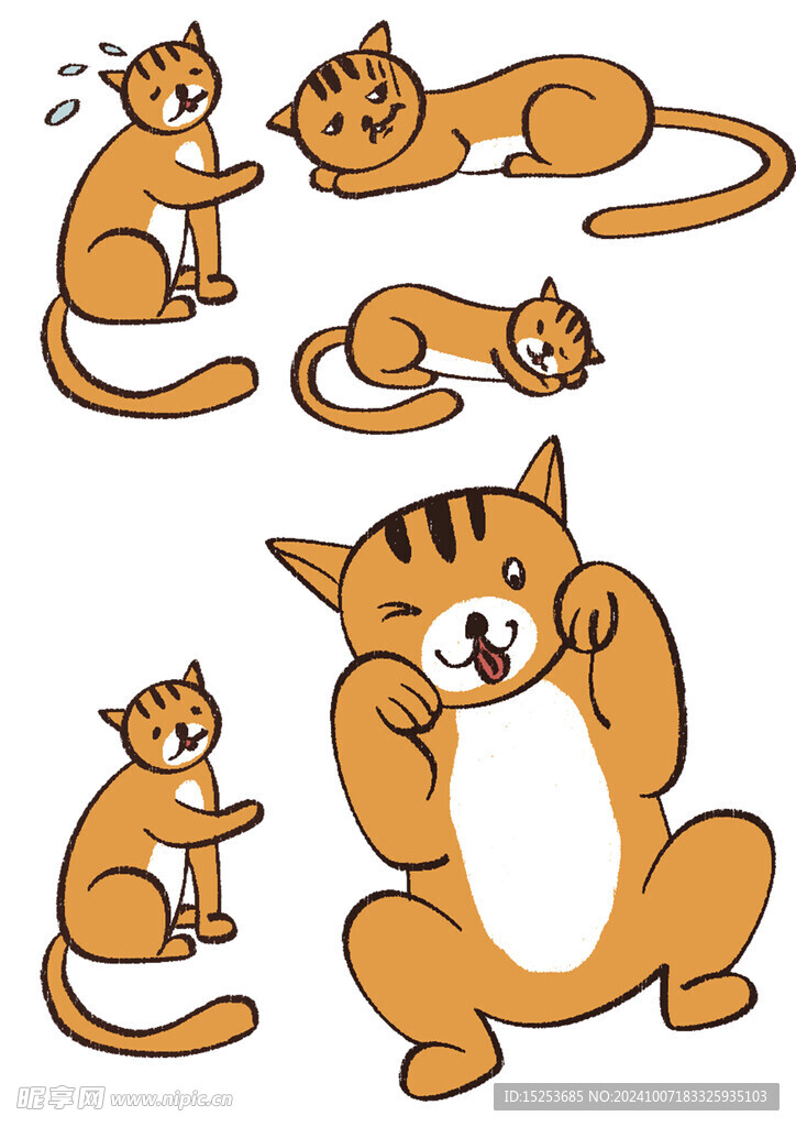 黃色小貓