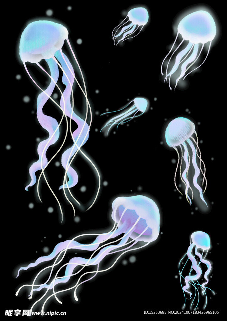 水母