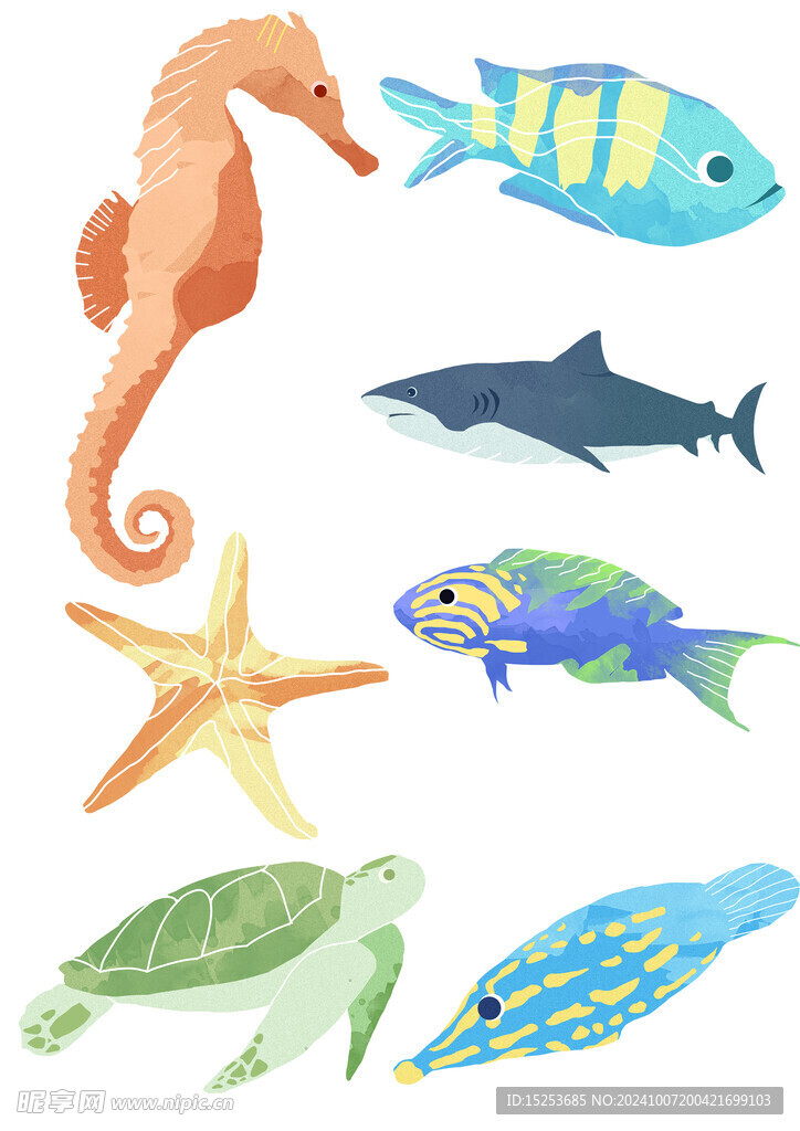 水族動(dòng)物