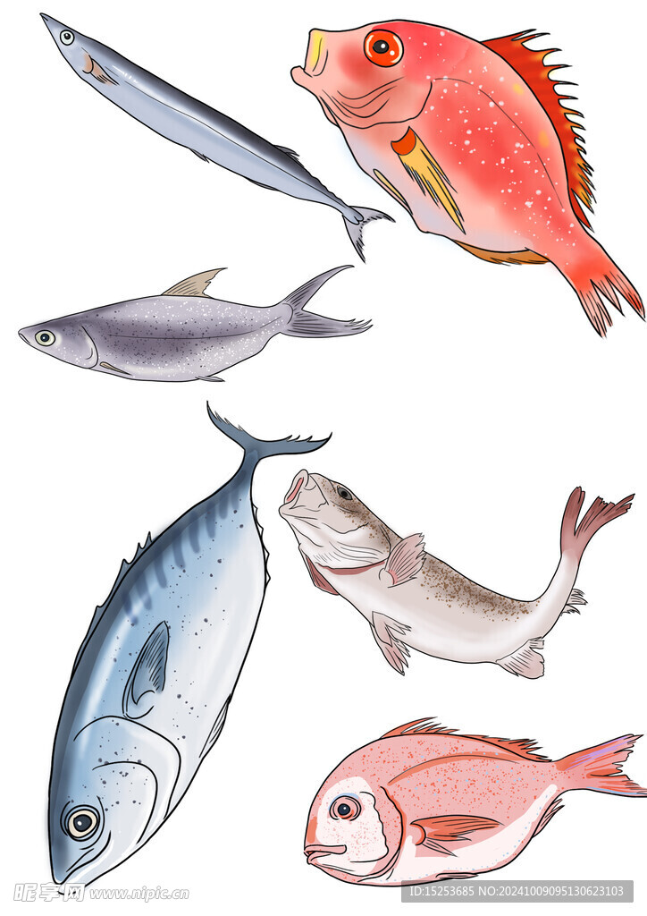 海魚