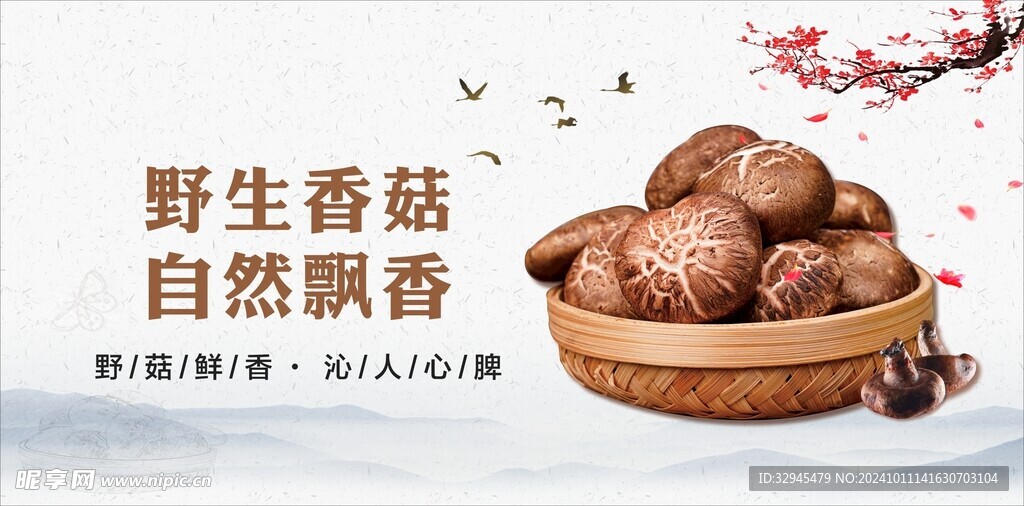 野生香菇
