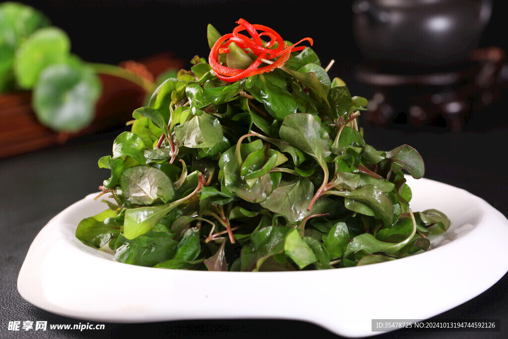 養(yǎng)生枸杞苗