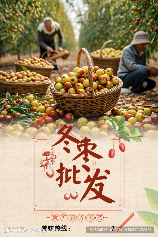 冬棗批發(fā)