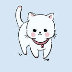 小白貓