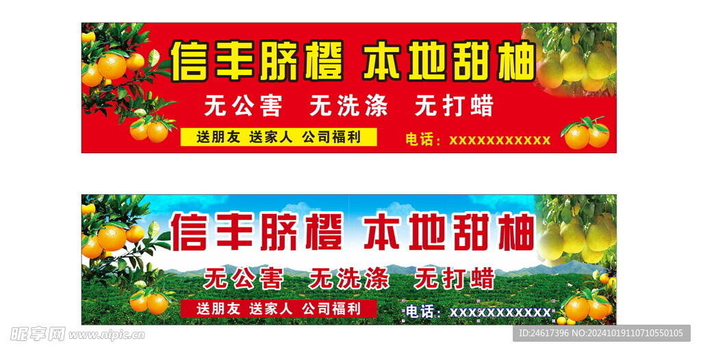 信豐臍橙