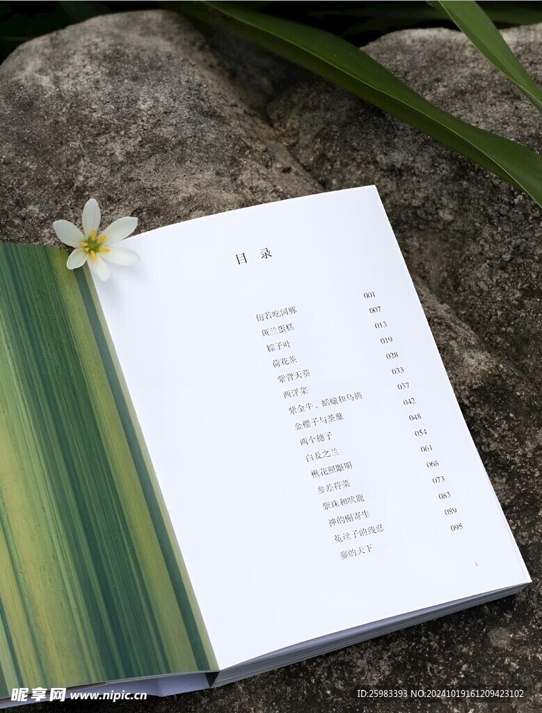 詩(shī)集