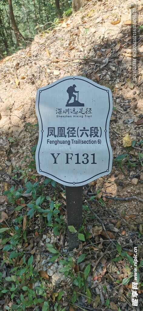 鳳凰徑 六段 YF131