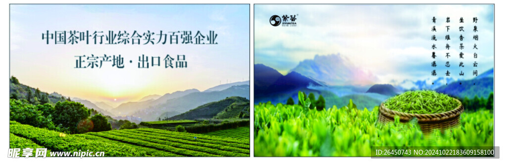 茶葉 軟膜