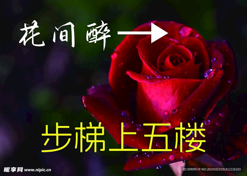 路線指引