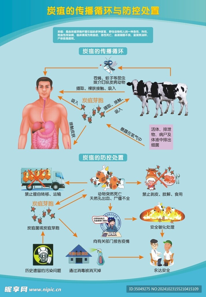 炭疽的傳播