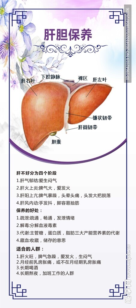 肝膽保養(yǎng)