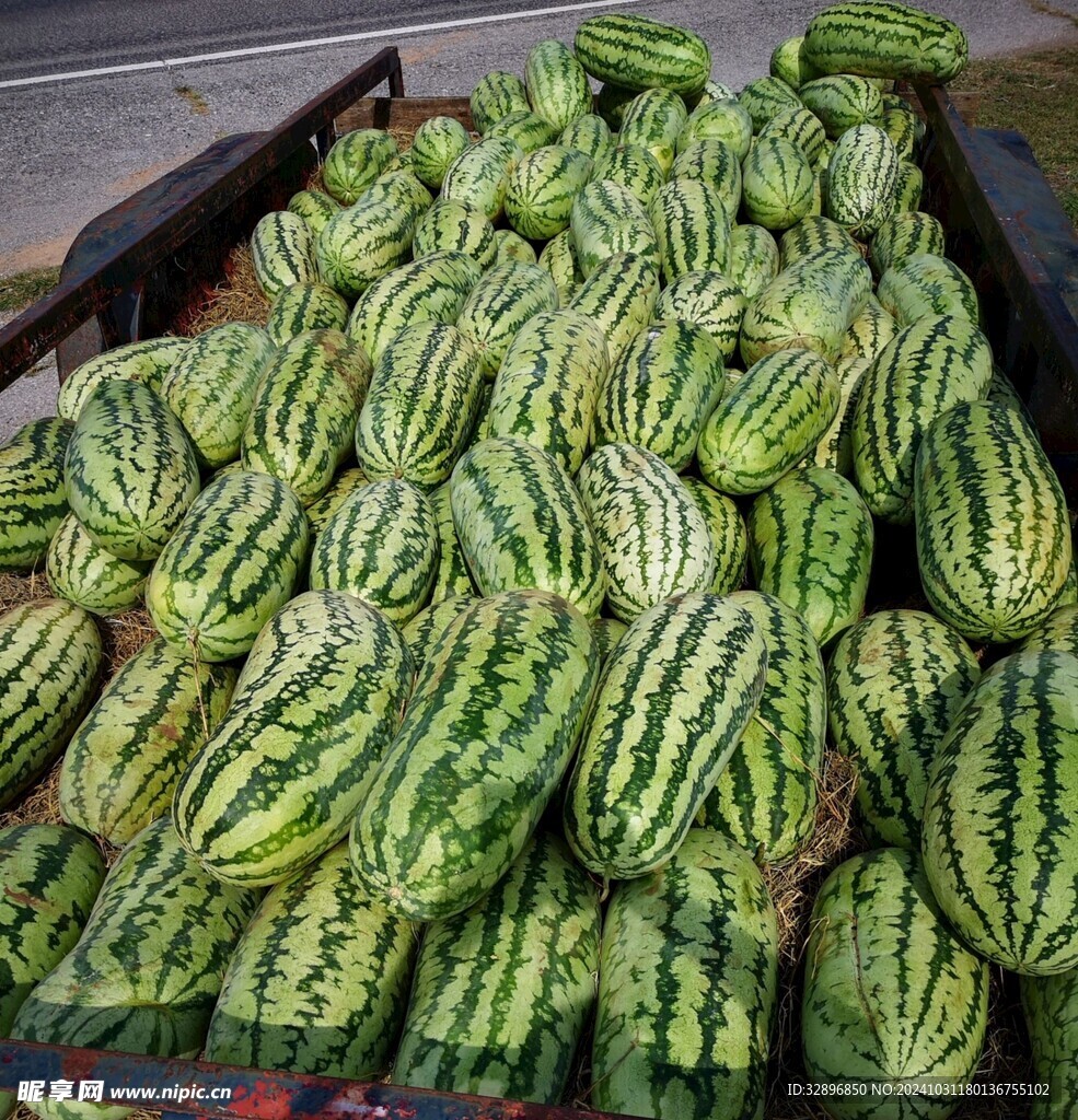 大西瓜