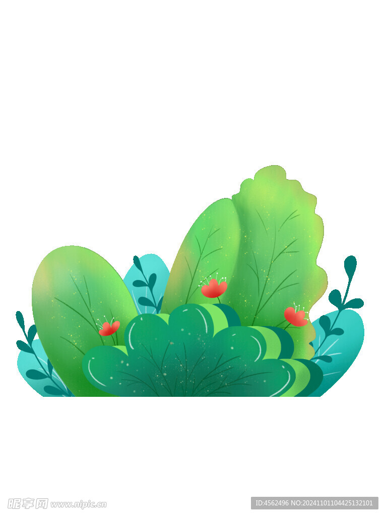 植物插畫