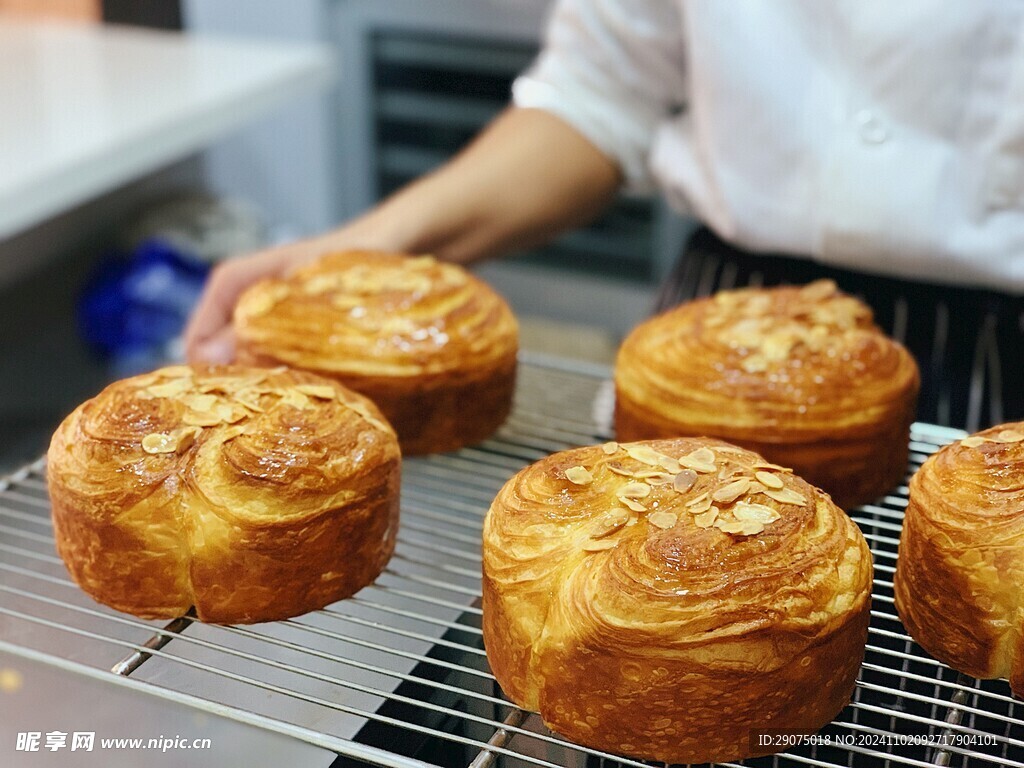烘焙
