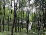 中山金鐘湖公園