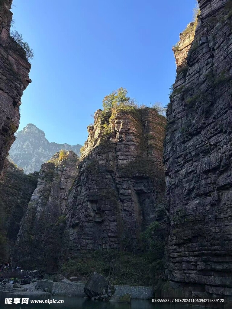 山