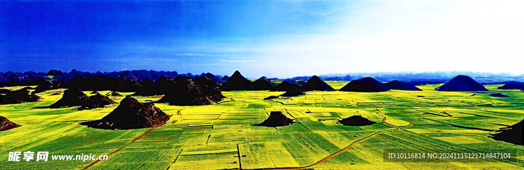 方形田塊