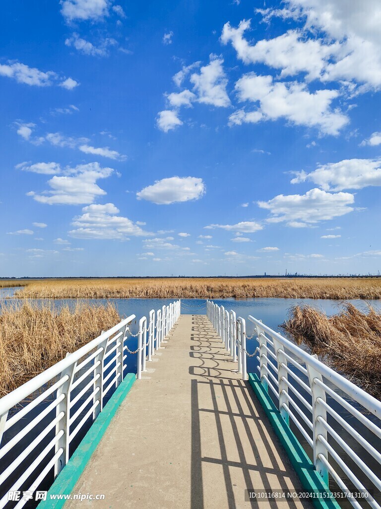 藍(lán)天白云濕地公園