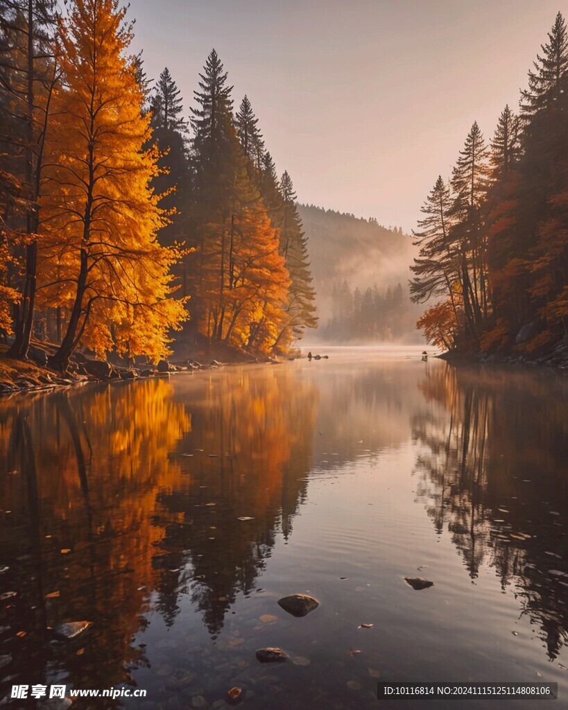樹林山水