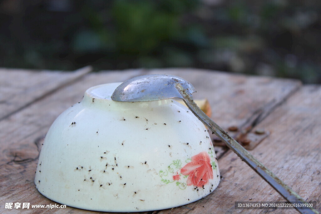 菜園水缸一角