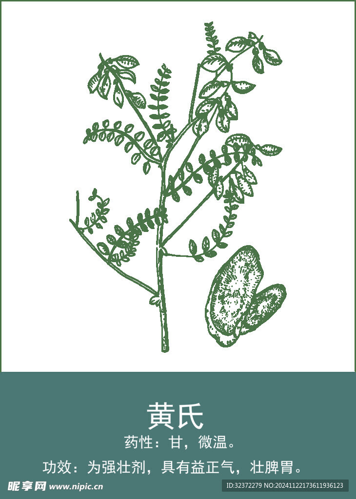中藥手繪插畫