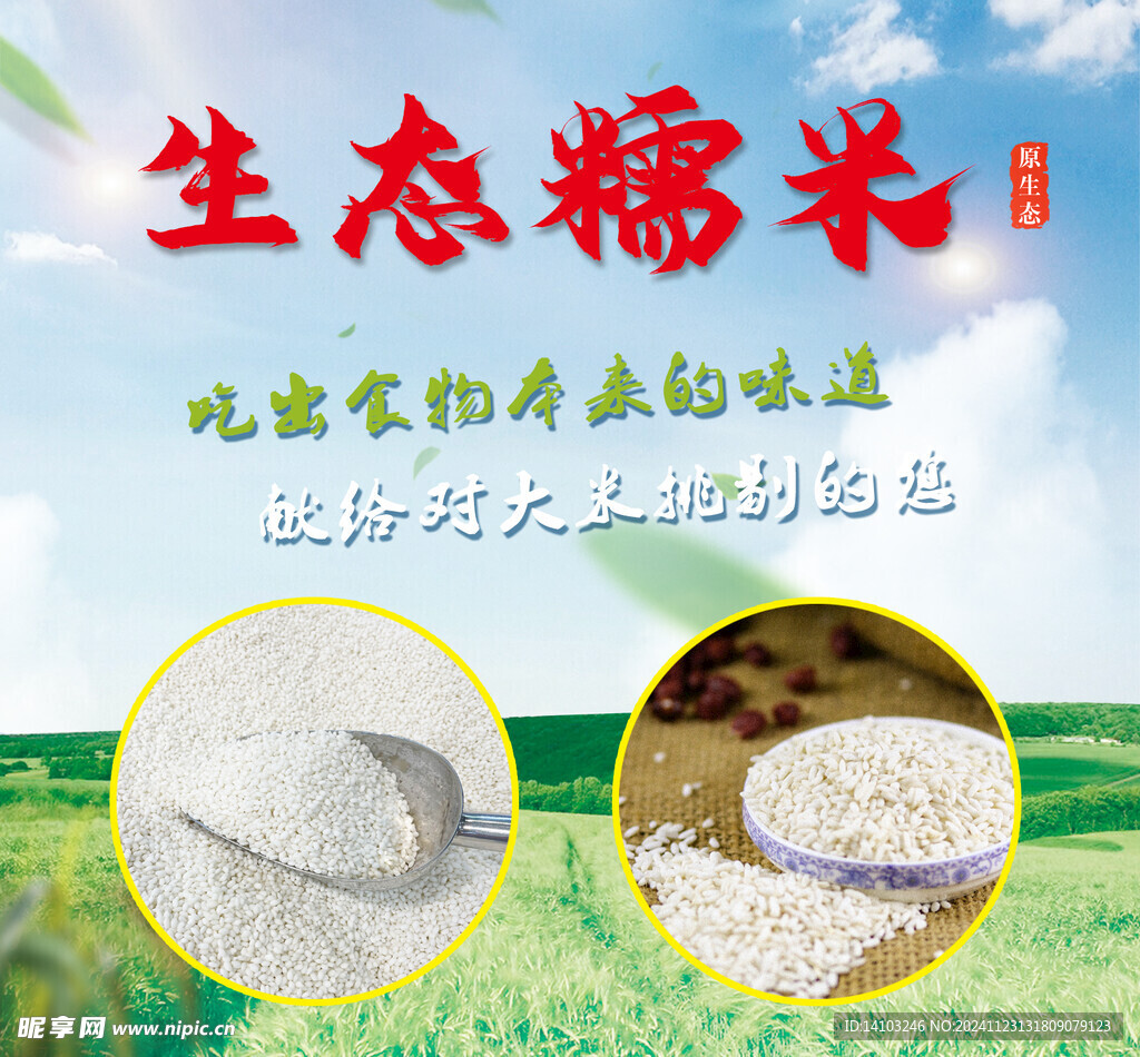 生態(tài)糯米