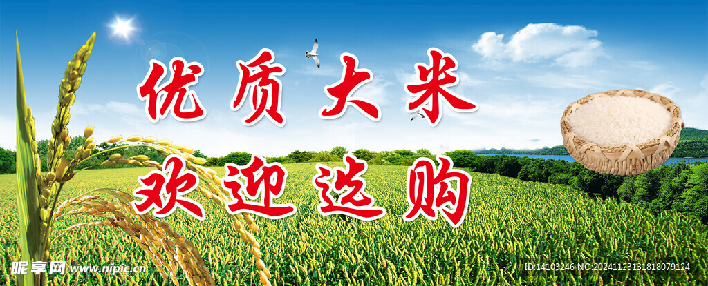 生態(tài)糯米