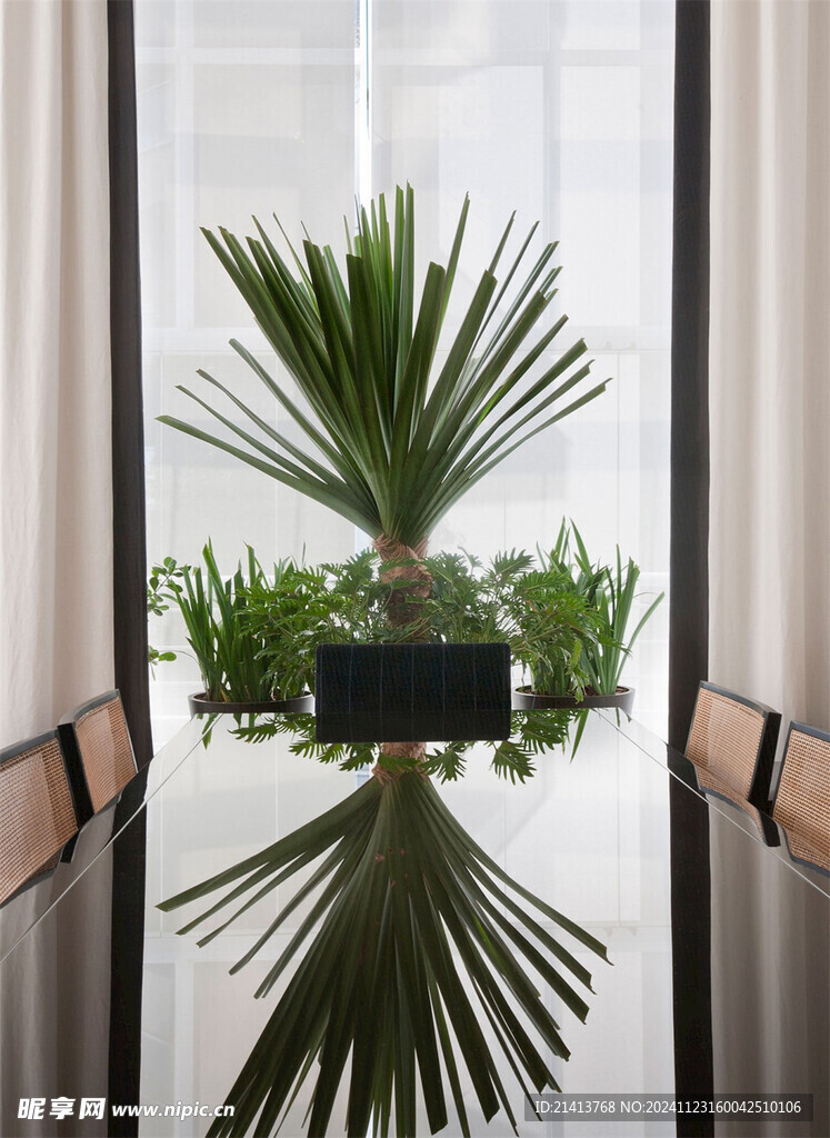 家居綠植擺件