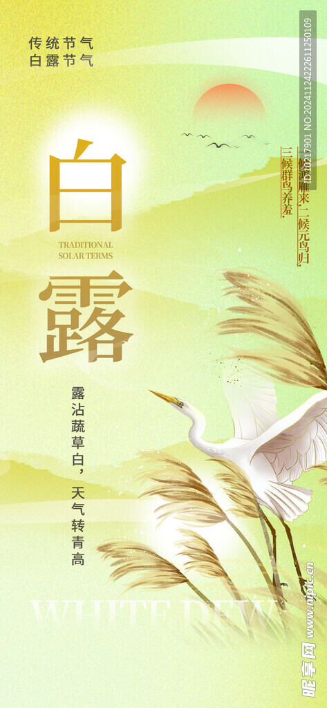 二十四節(jié)氣白露海報